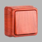 Misya Вимик. 1-клав. черешня